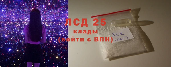 спиды Бородино