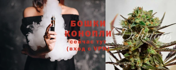 спиды Бородино
