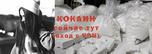 спиды Бородино