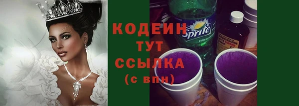 спиды Бородино
