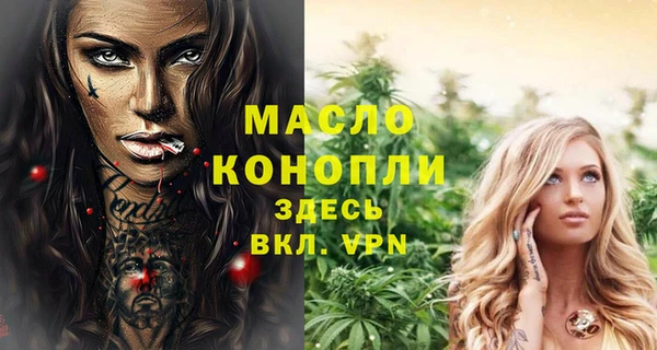 спиды Бородино