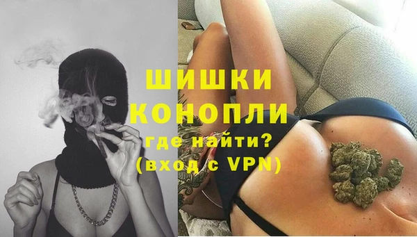 спиды Бородино