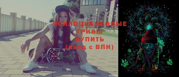 спиды Бородино