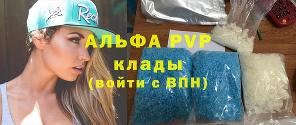 спиды Бородино