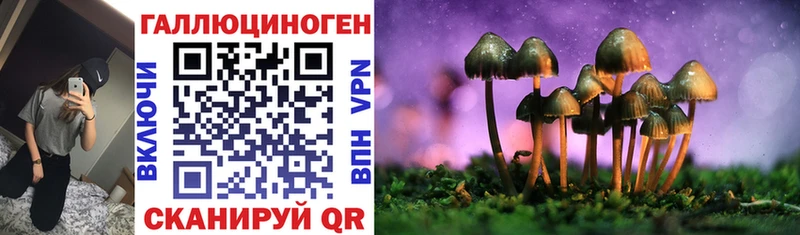 Галлюциногенные грибы Magic Shrooms  Грязи 